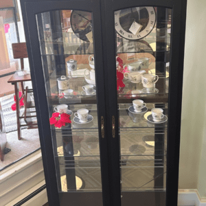 GO-2022 | 2 Door Curio