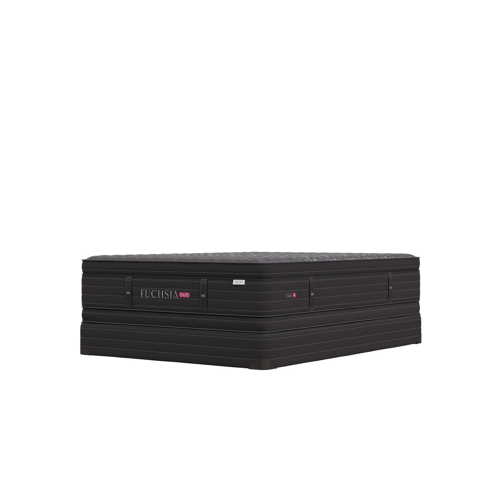 Fuchsia-Duo-3